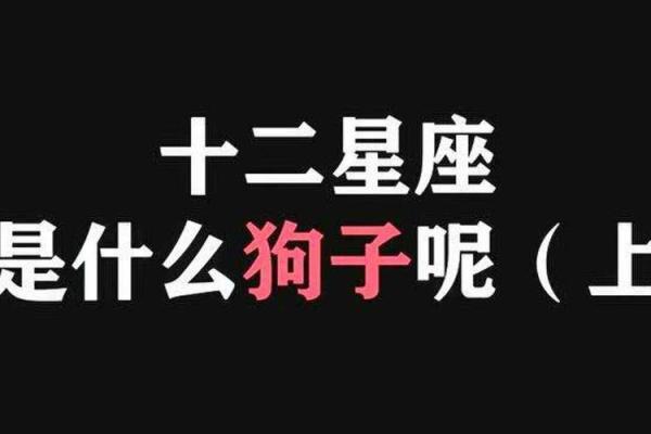 1982年1月属狗还是鸡_属狗人一生最大克星