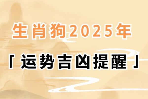 1982年狗2024年属狗的全年运势_1982年属狗的命运