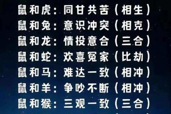 “鼠肚鸡肠”打一生肖是什么，鼠肚鸡肠打一正确生肖答案解释释义落实