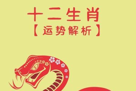 75年属兔女2025年运势 75年属兔女2025年运势详解事业财运爱情全解析