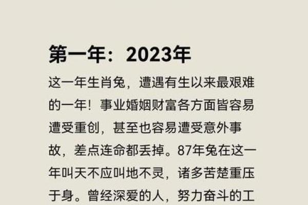 2025年属兔运势详解财运事业感情全面解析