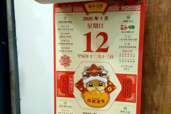 2025年日历带农历表带属像