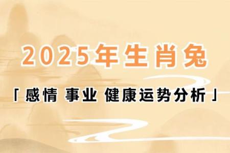 属兔2025年的运势及运程每月运气_63年的兔25年财运如何
