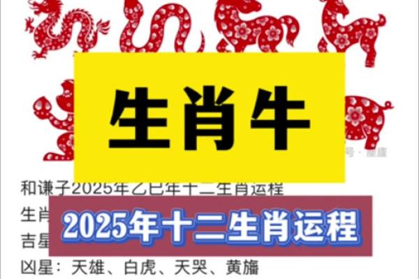 属龙人2025年运势_37岁属龙人2025年运势