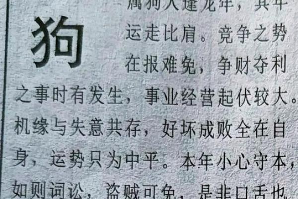 1982年2026年属狗人的全年运势 82年狗43岁开始转运了吗