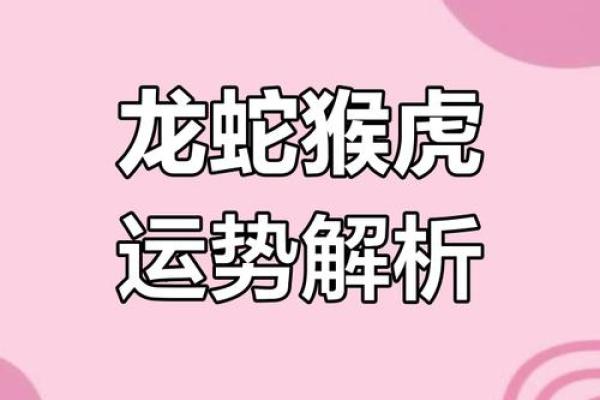 2025属龙人犯太岁吗 2025属龙人犯太岁吗全年运势解析及农历月份禁忌