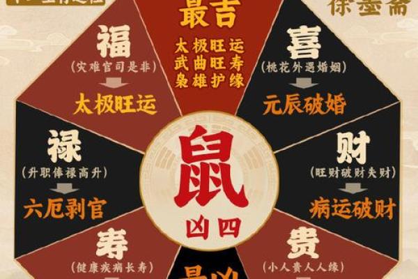 鼠年2025年运势