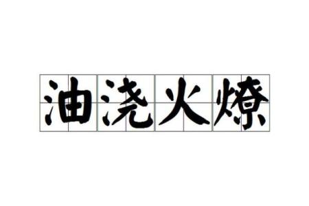 火上烧油是什么生肖