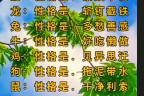 耳聪目明是什么生肖