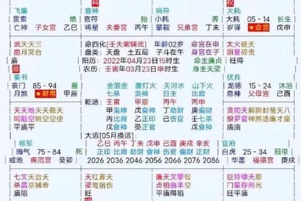 2025年4月3日寅时女命紫微斗数全解盘