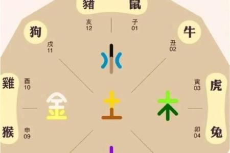 水满金山钱满仓代表什么生肖