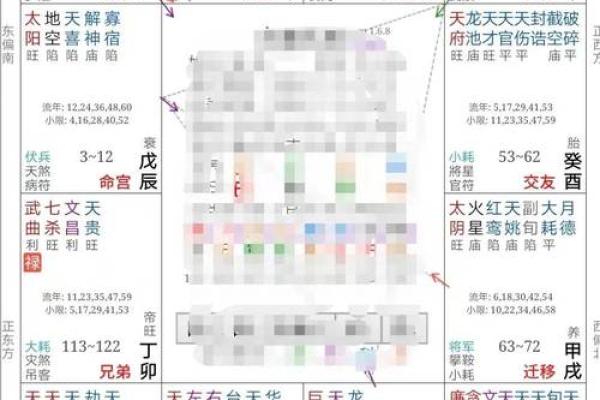 2025年4月26日丑时女命紫微斗数全解盘