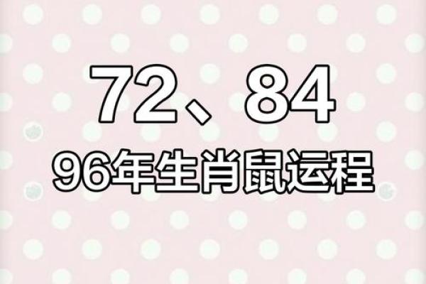 2025年属鼠的人的全年运势