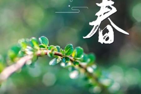 打春了动土会怎样