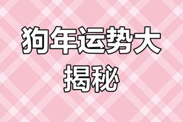 2025鸡年运势解析财运事业爱情全面预测