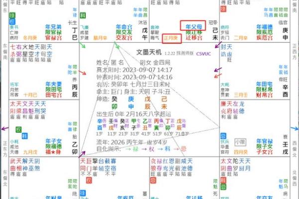 2025年4月28日午时男命紫微斗数全解盘
