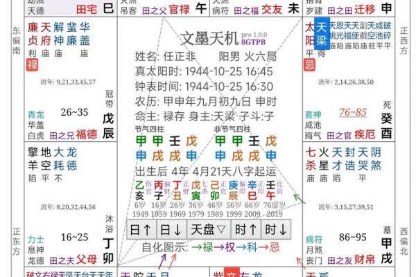 2025年4月28日酉时男命紫微斗数全解盘