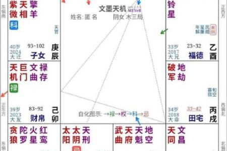 2025年4月1日戌时女命紫微斗数全解盘
