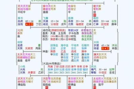 2025年4月5日亥时女命紫微斗数全解盘
