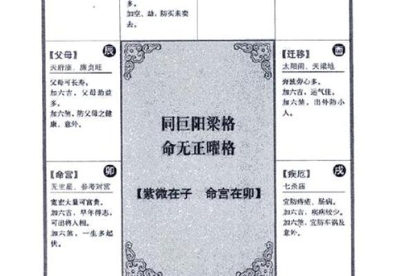 2025年4月3日寅时男命紫微斗数全解盘