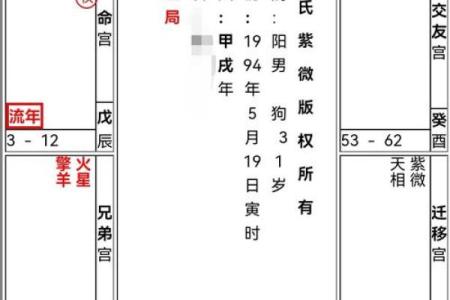 2025年4月5日巳时男命紫微斗数全解盘