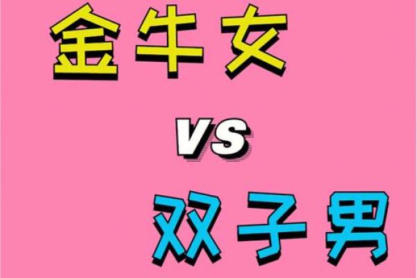 双子座跟金牛
