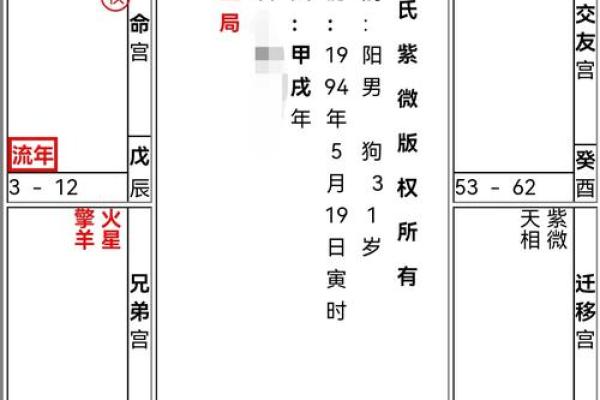 2025年4月20日申时男命紫微斗数全解盘