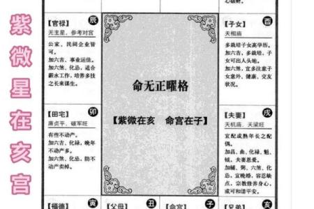 2025年4月4日亥时男命紫微斗数全解盘