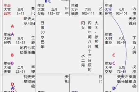 2025年4月9日寅时男命紫微斗数全解盘