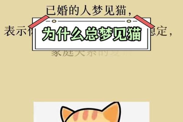 梦到小猫是什么征兆