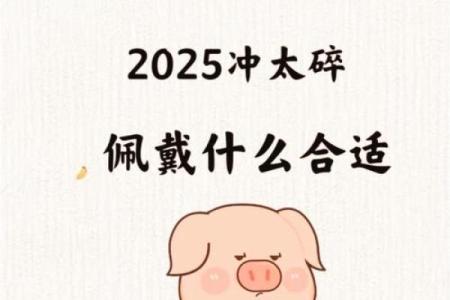 属猪人2025年适合戴什么_属猪人2025年适合戴什么颜色的首饰