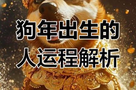 2025属狗的多大了_属狗2025年属狗每月运势和运