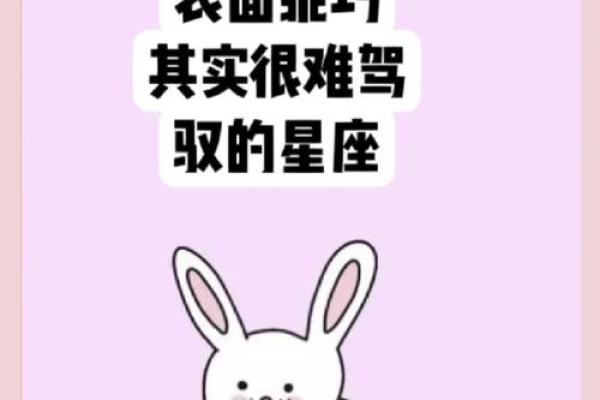 最心无城府的三大星座