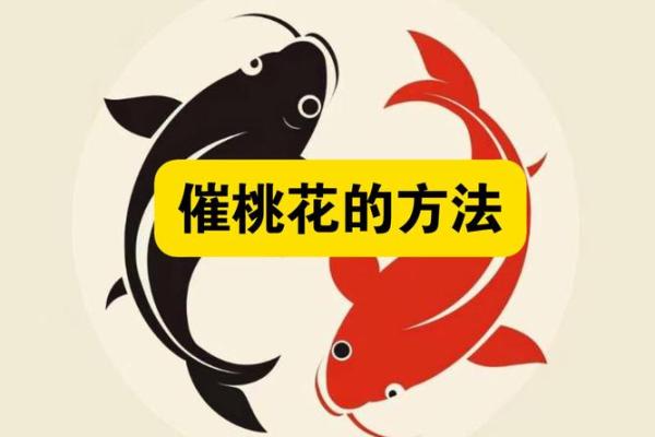 四大妙招，教你利用风水催桃花