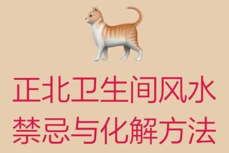 风水知识-最全的厕所风水禁忌