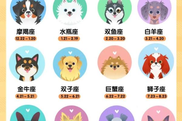 星座小知识：大犬座在什么季节出现