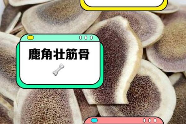 鹿角的风水