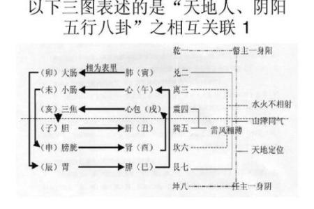 风水学：从入门到进阶，阴阳五行的相互关系与作用！_1