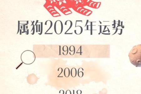 星座女属狗的运势怎样呢