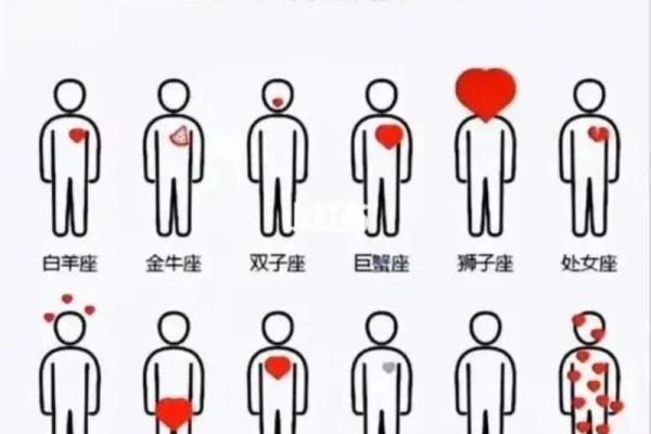 水瓶座男人最适合的星座