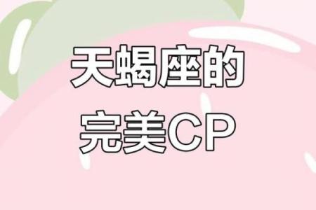 天蝎座和什么星座最适合做生意的