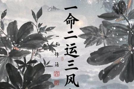 如何风水_一命二运三风水