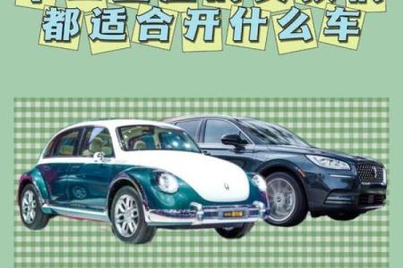 十二星座最适合什么样子的平衡车呢
