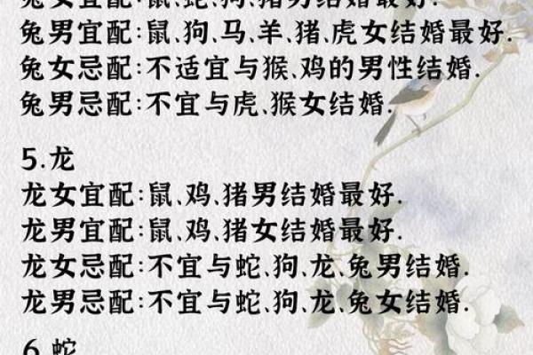 爱情长久的生肖配对