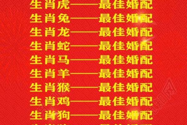 最全的十二属相配对