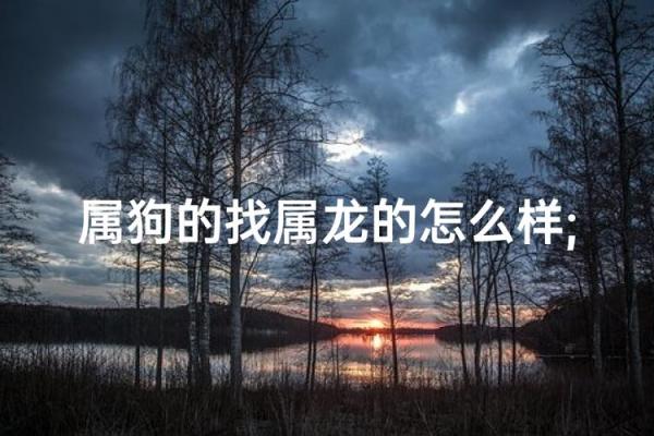 属龙和属狗相配吗 属龙和属狗配对好吗 属龙和属狗相配吗 属龙和属狗配对好吗