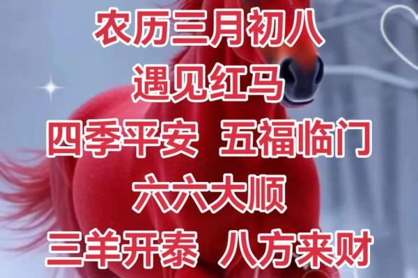 门面开业吉日查询 2024年五月适合生肖马开业的黄道吉日