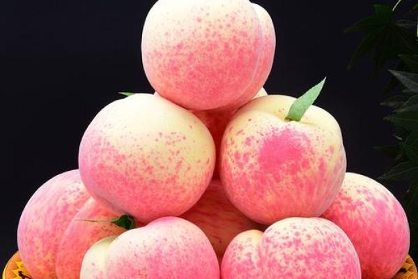 文财神供果,供财神用哪五种水果