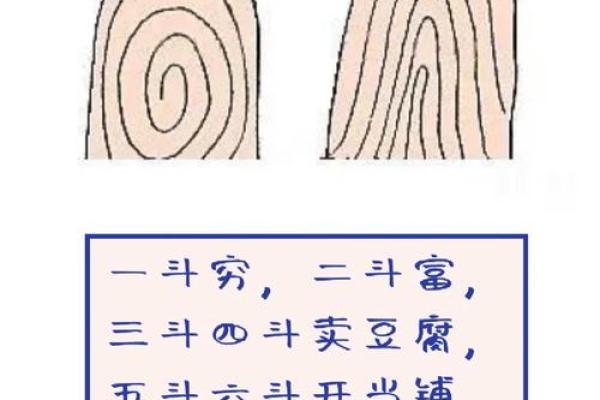 老人说-“十指无斗全簸箕,此生有财无处去”,数数你手上有几个 老人说-“十指无斗全簸箕,此生有财无处去”,数数你手上有几个
