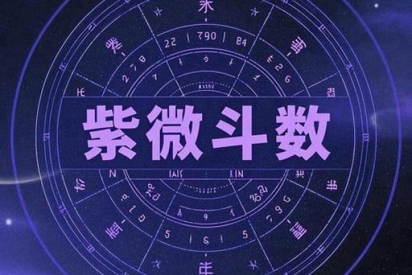 紫薇斗数迁移代表什么